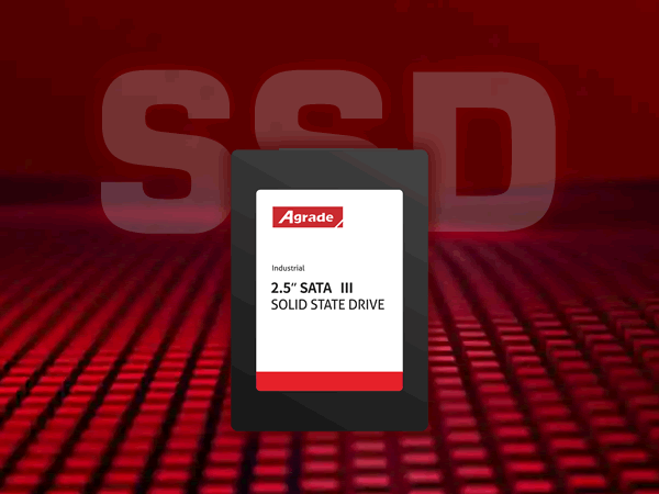 SSD20241118.png