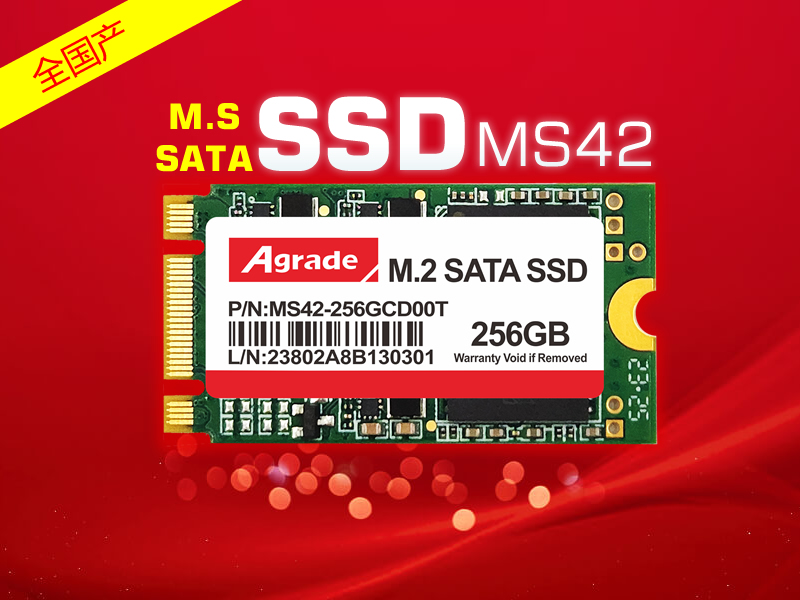 MS42-20251014.jpg